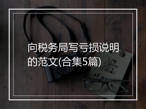 向税务局写亏损说明的范文(合集5篇)