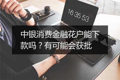 中银消费金融花户能下款吗？有可能会获批