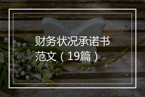 财务状况承诺书范文（19篇）
