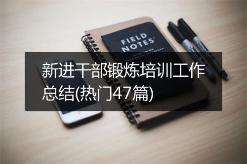 新进干部锻炼培训工作总结(热门47篇)