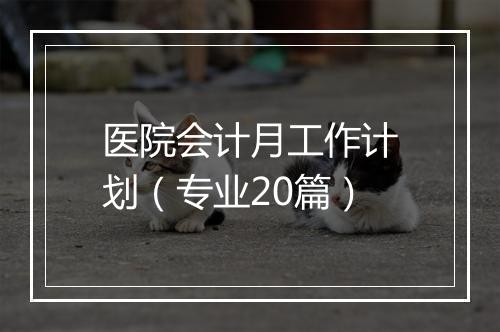 医院会计月工作计划（专业20篇）