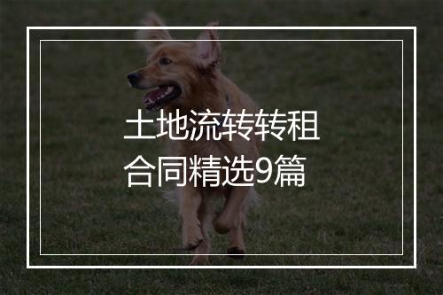 土地流转转租合同精选9篇