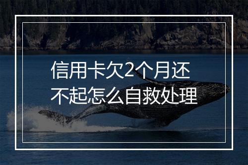 信用卡欠2个月还不起怎么自救处理