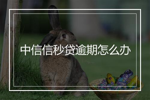 中信信秒贷逾期怎么办