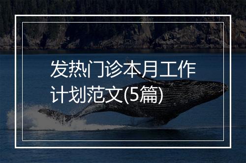 发热门诊本月工作计划范文(5篇)
