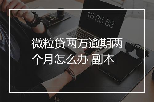 微粒贷两万逾期两个月怎么办 副本