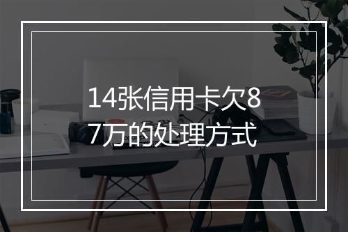 14张信用卡欠87万的处理方式