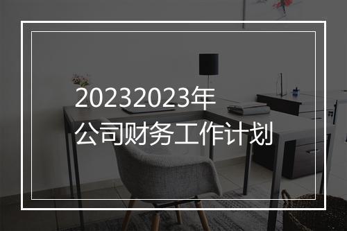 20232023年公司财务工作计划