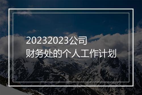 20232023公司财务处的个人工作计划