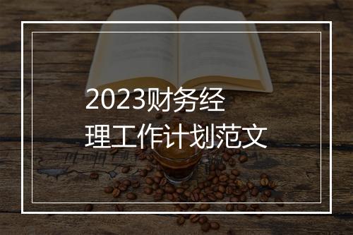 2023财务经理工作计划范文