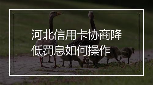 河北信用卡协商降低罚息如何操作