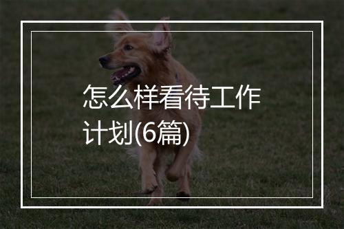 怎么样看待工作计划(6篇)