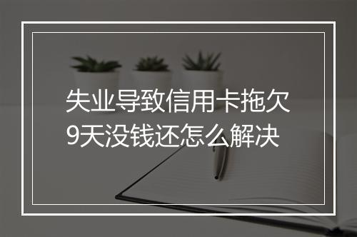 失业导致信用卡拖欠9天没钱还怎么解决