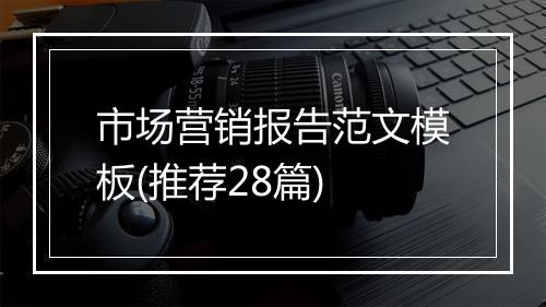 市场营销报告范文模板(推荐28篇)