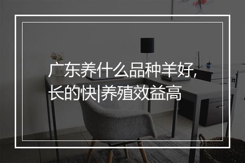 广东养什么品种羊好,长的快|养殖效益高