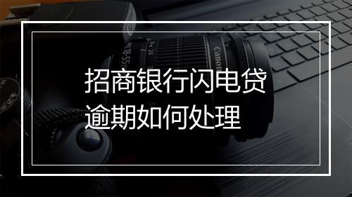 招商银行闪电贷逾期如何处理