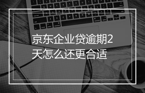 京东企业贷逾期2天怎么还更合适