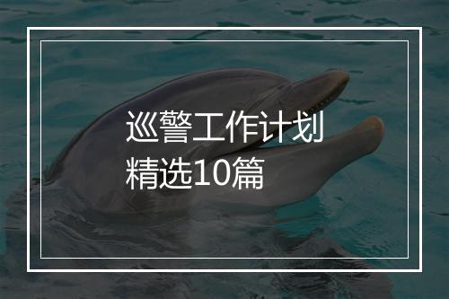 巡警工作计划精选10篇