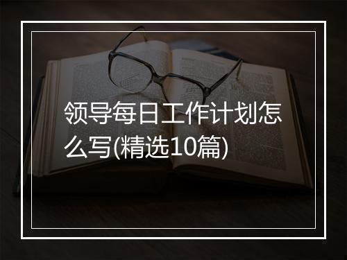 领导每日工作计划怎么写(精选10篇)