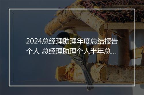 2024总经理助理年度总结报告个人 总经理助理个人半年总结优选合集8篇