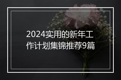 2024实用的新年工作计划集锦推荐9篇