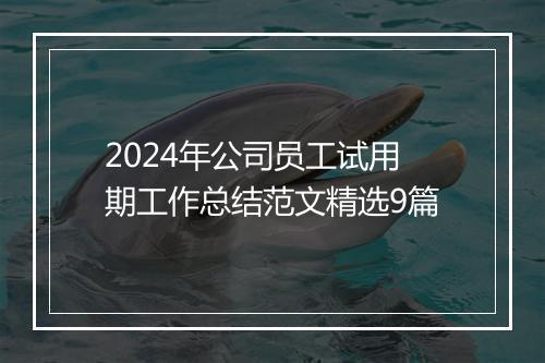 2024年公司员工试用期工作总结范文精选9篇