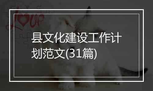 县文化建设工作计划范文(31篇)