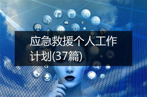 应急救援个人工作计划(37篇)
