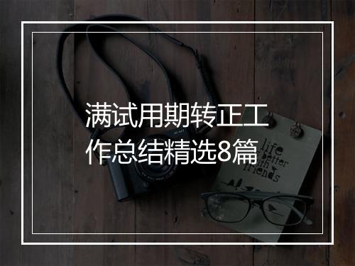 满试用期转正工作总结精选8篇