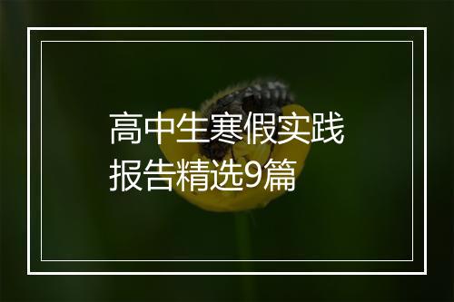 高中生寒假实践报告精选9篇