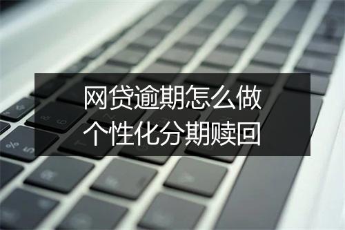 网贷逾期怎么做个性化分期赎回