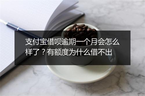 支付宝借呗逾期一个月会怎么样了？有额度为什么借不出