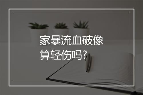 家暴流血破像算轻伤吗?