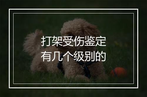 打架受伤鉴定有几个级别的