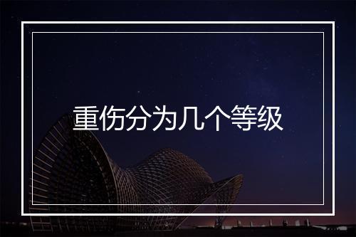 重伤分为几个等级