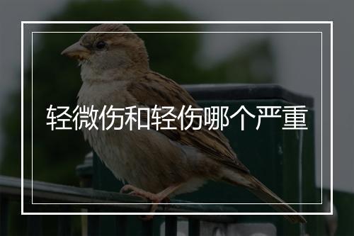 轻微伤和轻伤哪个严重