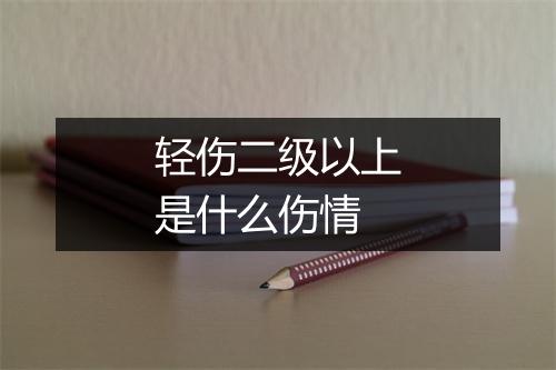 轻伤二级以上是什么伤情