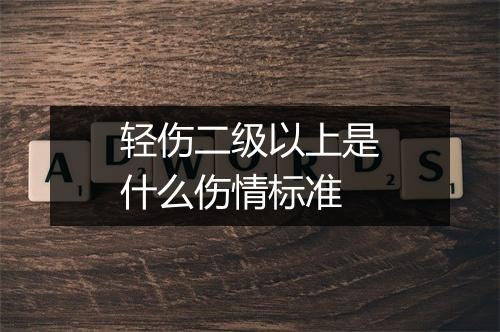 轻伤二级以上是什么伤情标准