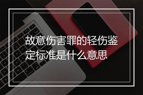 故意伤害罪的轻伤鉴定标准是什么意思