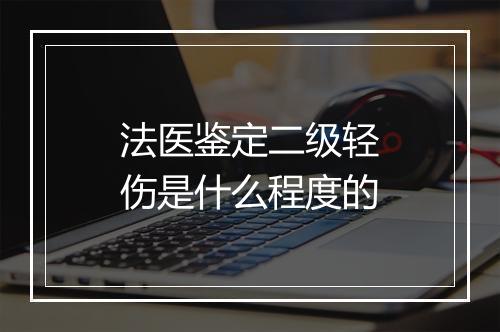 法医鉴定二级轻伤是什么程度的