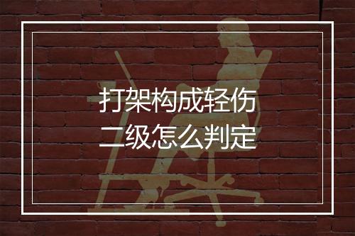 打架构成轻伤二级怎么判定