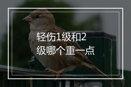 轻伤1级和2级哪个重一点