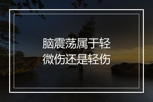 脑震荡属于轻微伤还是轻伤