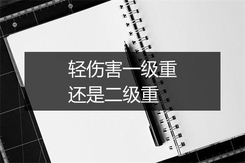 轻伤害一级重还是二级重