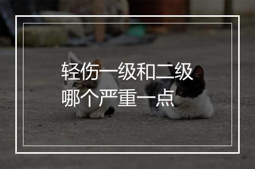 轻伤一级和二级哪个严重一点