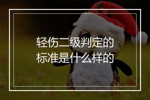 轻伤二级判定的标准是什么样的