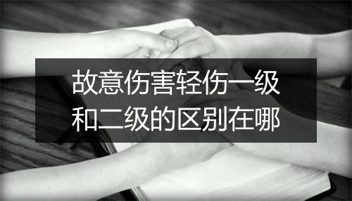 故意伤害轻伤一级和二级的区别在哪