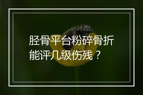 胫骨平台粉碎骨折能评几级伤残？