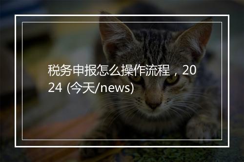 税务申报怎么操作流程，2024 (今天/news)