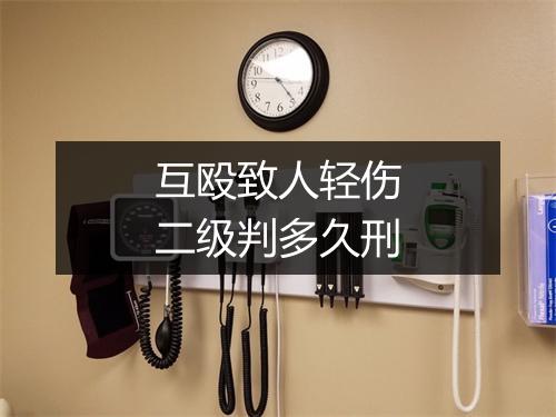 互殴致人轻伤二级判多久刑